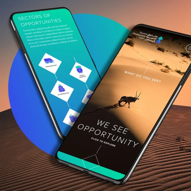 Tourism Development Fund | Transforming Saudi’s Travel Investment Landscape
        Gallery Upper Image 2