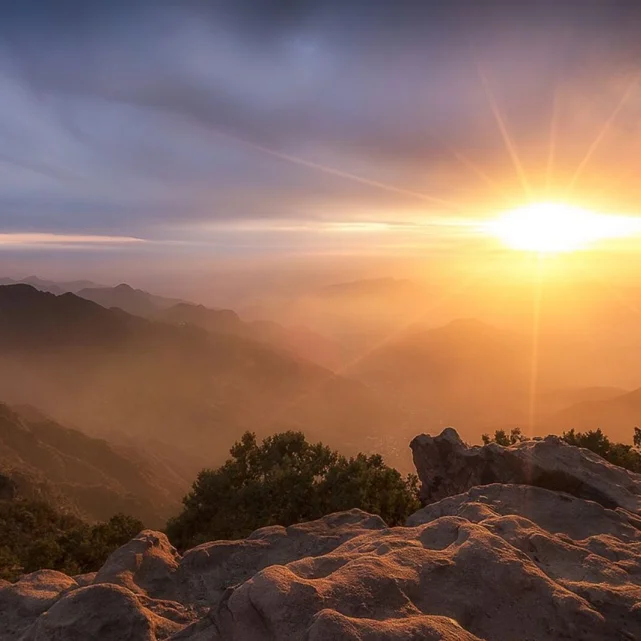 Tourism Development Fund | Transforming Saudi’s Travel Investment Landscape
        Gallery Lower Image 4