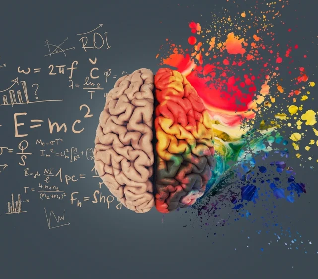 Creative and analytical sides of the brain, symbolizing the blend of creativity and strategy in the digital marketing service's creative services
