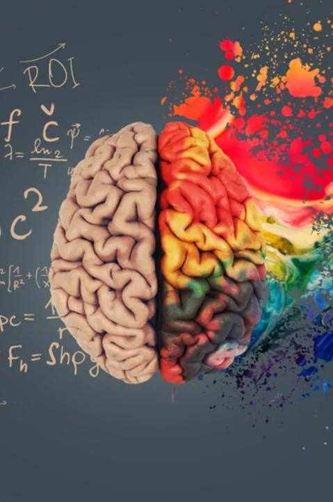 Creative and analytical sides of the brain, symbolizing the blend of creativity and strategy in the digital marketing service's creative services