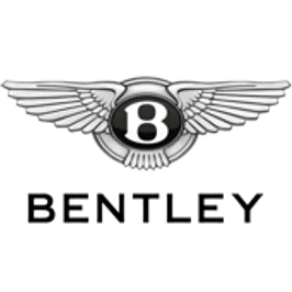 Fueling Your Automotive Brand for Unmatched Growthicon