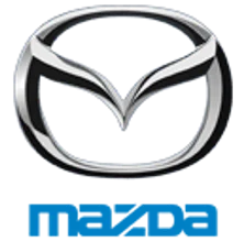 Fueling Your Automotive Brand for Unmatched Growthicon