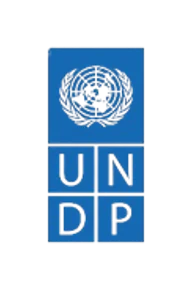 Driving Greater Impact for Non-Profits Through Digital Innovationicon