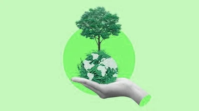 A hand holding a globe with a tree growing from it, representing a digital design service by a creative digital design agency focused on sustainability