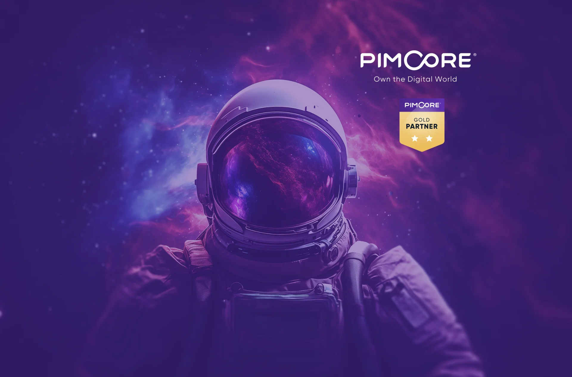 Image representing PIM Implementation Services with a focus on PIM integration services, showcasing a digital world theme